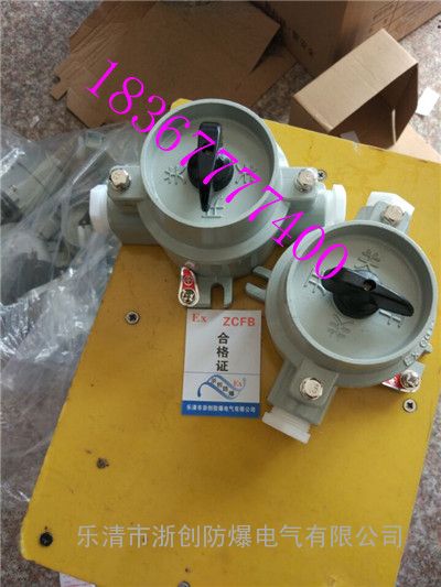 SW-10铝壳10A220V防爆照明开关