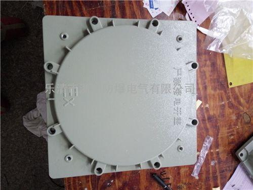 电厂防爆接线箱BXJ51-20A防爆接线端子箱