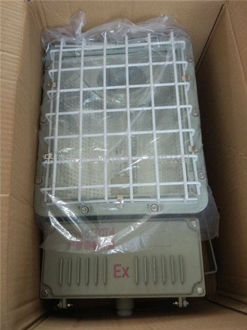 一体式BAT52-L450Z防爆泛光灯