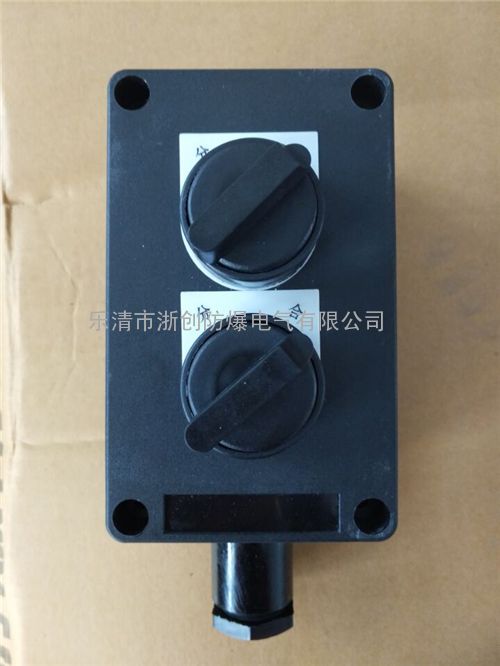 BZA8050-K/220V防爆防腐双控开关