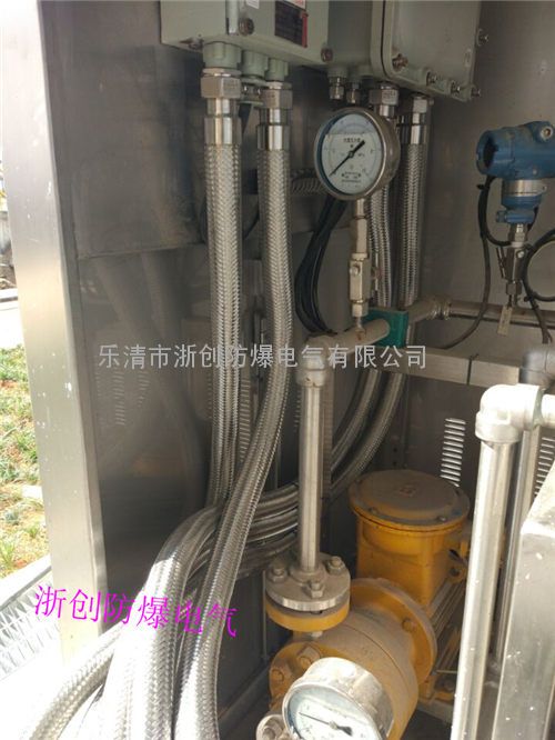 BNG-700*DN32防爆挠性连接管