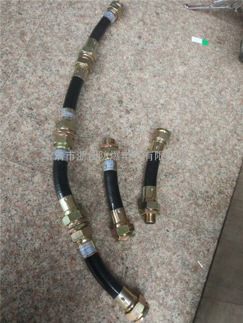 防爆挠性管BNG/DN25不锈钢防爆连接管
