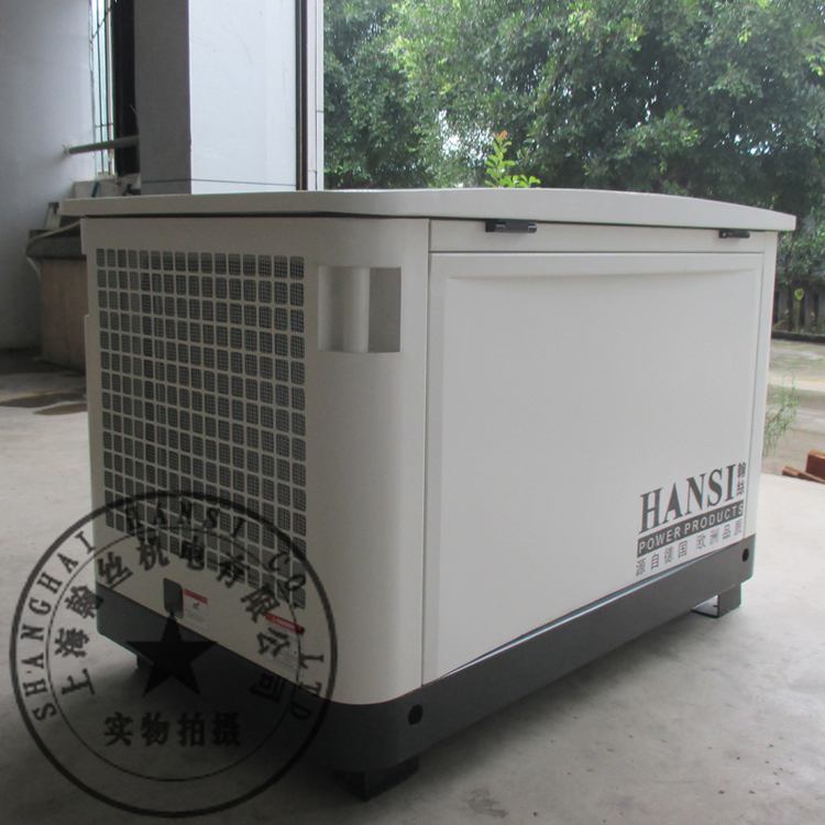 HANSI翰丝单相/三相20KW汽油发电机HS20REG