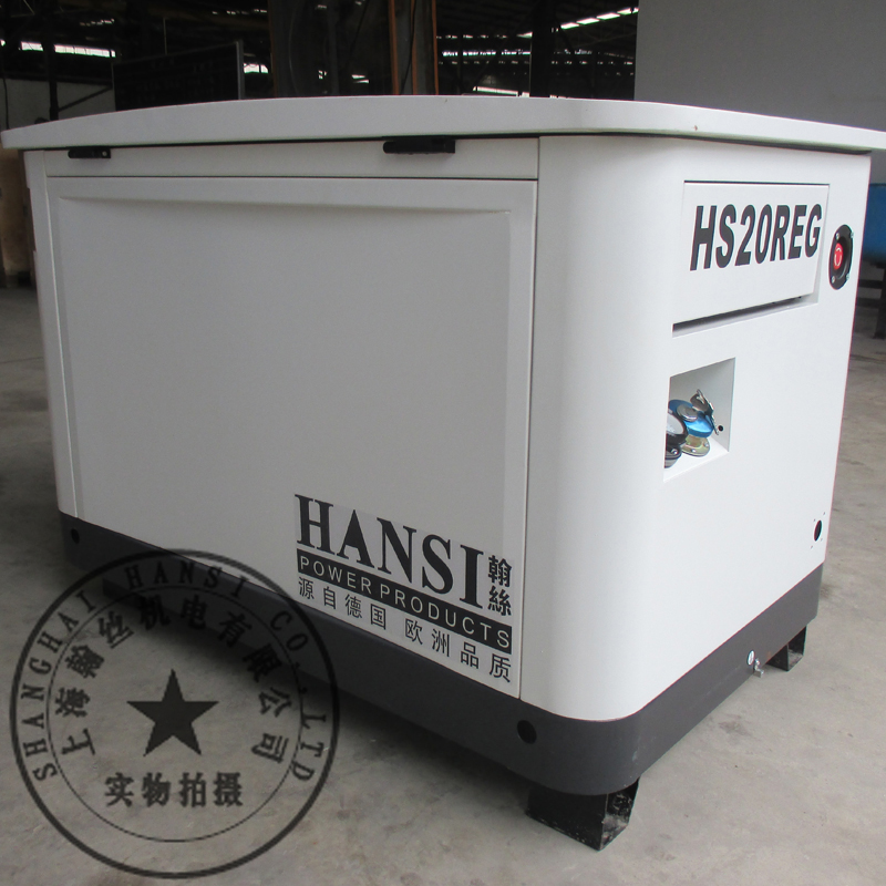翰丝17kw220v汽油发电机HS17REG