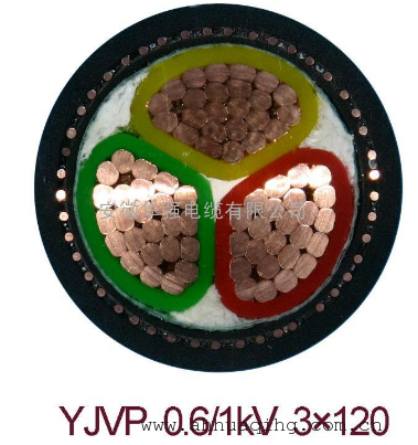 ZR-BPYJV-1KV-3*70+1*35变频电缆