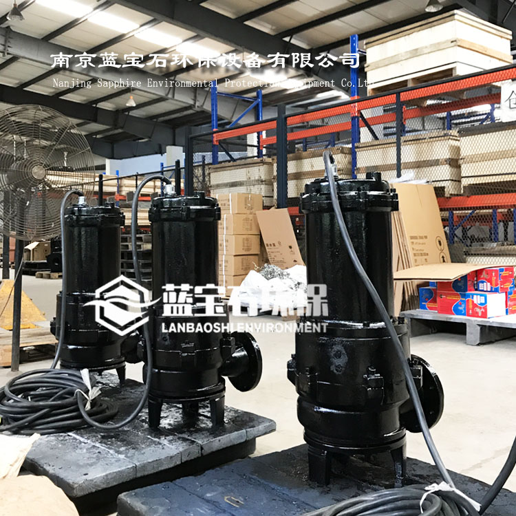 防堵塞污水提升泵7.5kw增强型排污泵WQR100-13-7.5