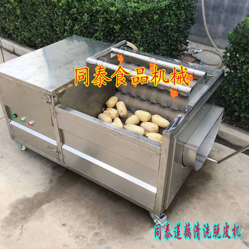果蔬清洗机 毛辊清洗机去皮机