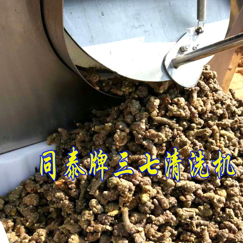 中药材毛辊清洗机 藠头毛刷清洗机 304不锈钢洗菜机 
