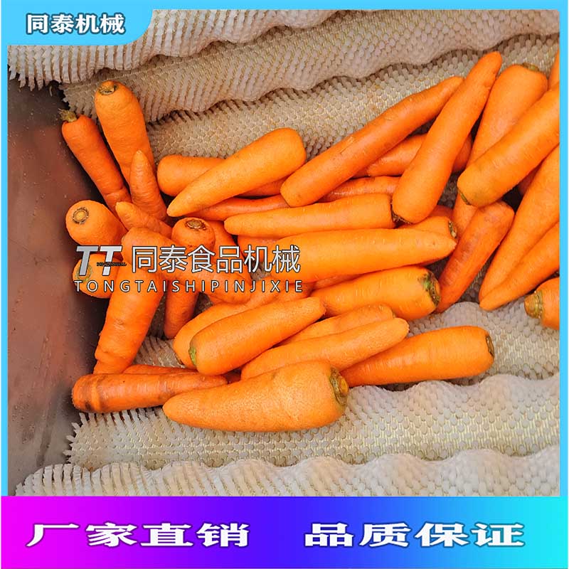 同泰大型胡萝卜清洗去泥抛光机TQX-1700