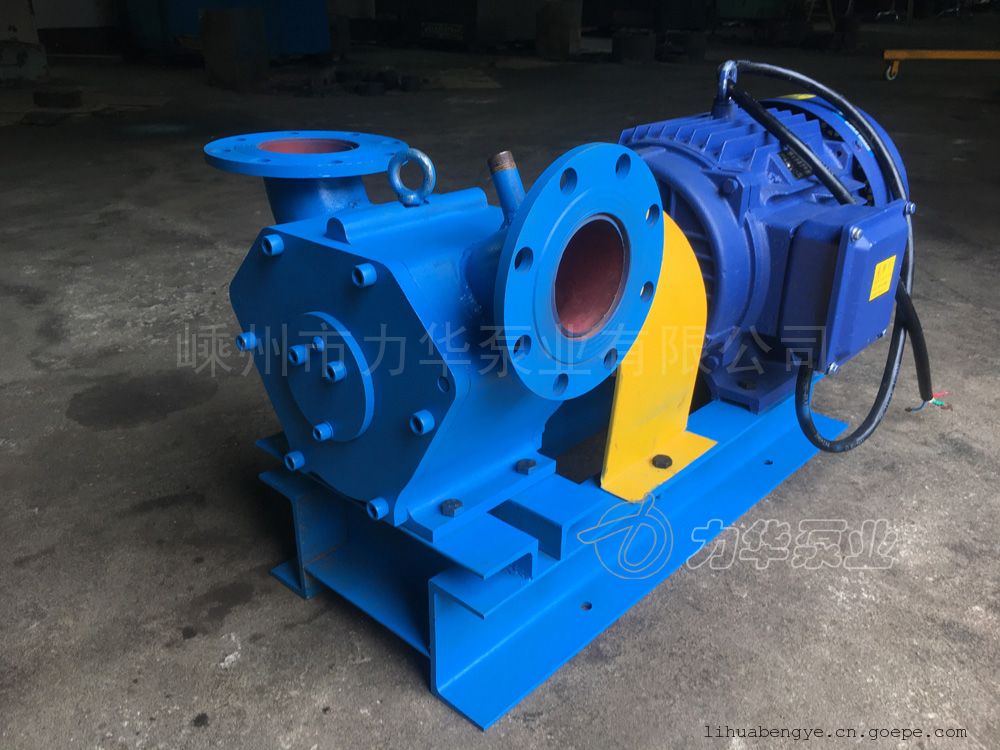 压滤机专用LH65-30-0.9 污水处理泵